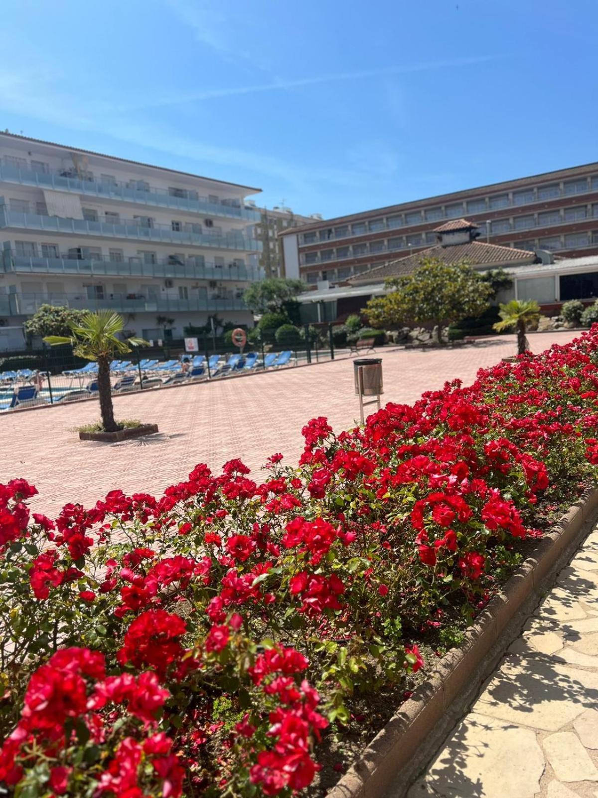 Apcostas Els Pins Lotus Apartment Blanes Bagian luar foto